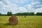 Rolled haystacks in the field of agriculture.  Landscape usual for Russia