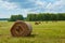 Rolled haystacks in the field of agriculture.  Landscape usual for Russia