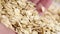 Rolled oats in hand. Falling oatmeal flake in slow motion. Macro