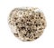 rolled Pyrite (fool\'s gold) stone isolated