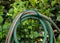 Rolled up garden hose hanging from a fence