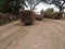 Roller cart transporting sugarcane stalks in a sugar factory in the afternoon