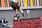 Rollerblade jump trick at a city background.