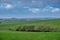 Rolling Ayrshire Fields in Scotland as the Rain is seen comming over the Trees in the Hazy Distance