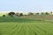 Rolling country hills in Spring, Spain