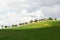 Rolling country hills in Spring, Spain