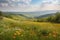 rolling countryside hills with blooming wildflowers of springtime