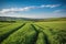 rolling countryside hills with rows of crops and a blue sky