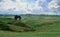 Rolling countryside in New Zealand