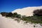 Rolling Dunes, Eyre Peninsula