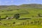 Rolling English Countryside In summer