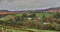 Rolling English Pennine Moors Landscape