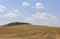 Rolling Farm Hills of Wheat Crop Fields on Sunny Summer Day