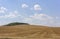 Rolling Farm Hills of Wheat Crop Fields on Sunny Summer Day