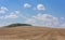 Rolling Farm Hills of Wheat Crop Fields on Sunny Summer Day