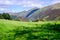 Rolling fells and valley in the Lake District with green fields in the summertime