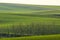 Rolling Fields of Moravian Toscany near Kyjov, Czechia