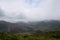 Rolling fog blocking view of nature, forest, hills, and trailhead