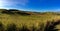 Rolling grassland at Sigatoka Sand Dunes