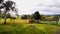 Rolling grasslands and laid-back horses in the Yarra Valley, Melbourne, Australia