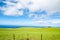 Rolling green farmland above coastline under blue sky with puffy white clouds