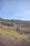 Rolling green hills of Tuscany on a beautiful sunny day