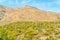 Rolling hills of arizona with wild moutain background in late afternoon sunset lighting and visible saguaro cactuses