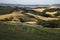 Rolling hills and countryside in Tuscany.