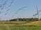 Rolling hills of flemish ardennes with historic windmill, framed by blurry flowering grass halms