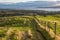 Rolling hills and grassy fields near Lake Taupo, New Zealand