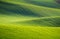 Rolling hills of green wheat fields. Amazing fairy minimalistic