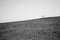 Rolling Hills Landscape with Windmill along the Garden Route