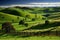 rolling hills, lush and green, with clear blue skies