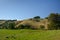 Rolling hills of New Zealand