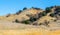 Rolling hills in the Santa Monica Mountains of California