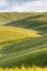 Rolling hills of Tuscany