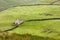 Rolling hils near Littondale, Yorkshire Dales