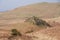 Rolling moorland in the north of Britain, large jagged rock and dry bracken