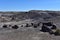 Rolling Sand in the Desert with Preserved Petrified Logs