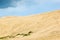 Rolling sand dune