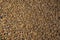 Rolling stones sand texture of Costa Dorada