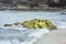 Rolling Waves Surrounding an Algae Covered Rock on Boca Keto Bea