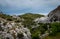 Rolling wild countryside in the alpilles, provence ,south of France