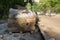 Rolls of grass turf piled up on the sidewalk of a Moscow street during road repairs