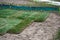 Rolls of green lawn prepared for planting. A pile of fertile soil. Landscaping design, arrangement of the territory