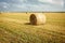Rolls of hay bales in a field. One large roll in the foreground