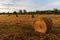 Rolls of hay in field at sunset