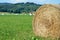 Rolls of hay on green field, most of them wrapped in white foil