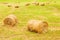 Rolls of hay lie in a collapsed large sloping field.