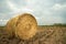 Rolls of haystack on the paddy field.